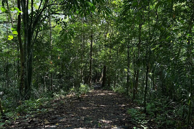 Private Hiking Tour at Soberania National Park