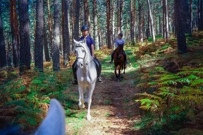 Private Horse Ride in Madrid Natural Park Reserve - Inclusions and Logistics