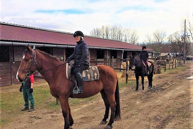 Private Horse Riding Near Budapest With Transport - Overview of the Tour