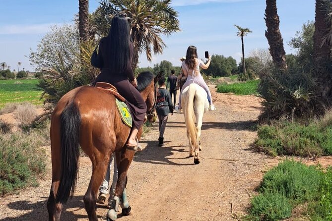 Private Horseback Ride in the Palmeraie of Marrakech - Safety Considerations