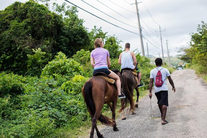 Private Horseback Riding From Ocho Rios With Guide