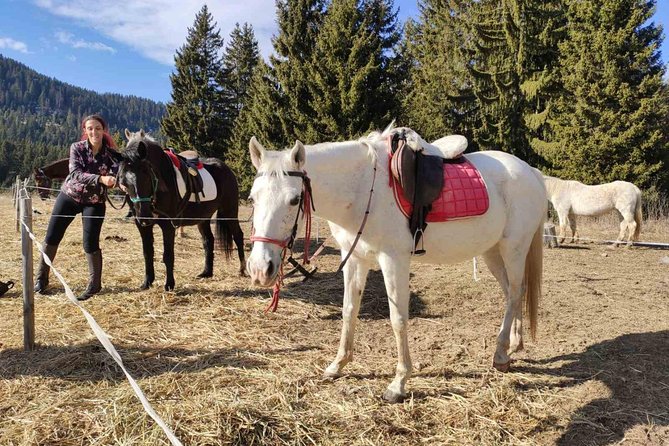 Private Horseback Riding the Rila Range