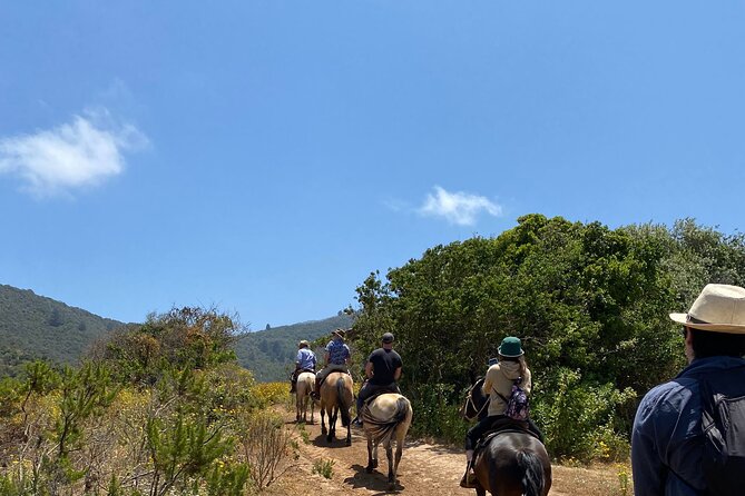 Private Horseback Riding to Cerro El Mollar and Cachagua