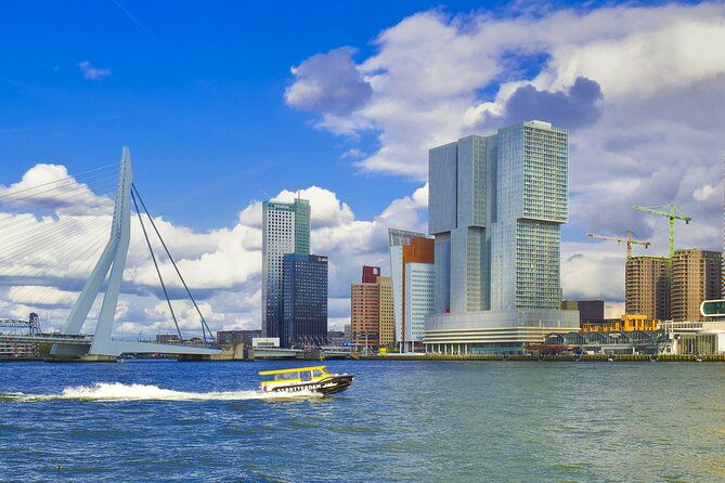 Private Keukenhof Tulip Fields & Flowers Sightseeing Tour From Rotterdam