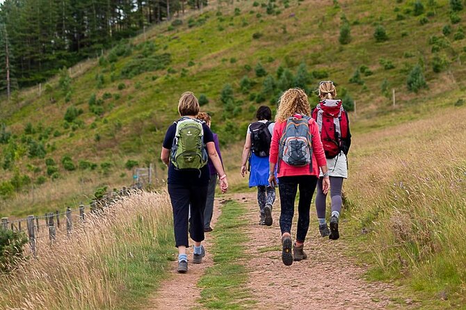 Private Mindfulness and Nature Walk in Edinburgh