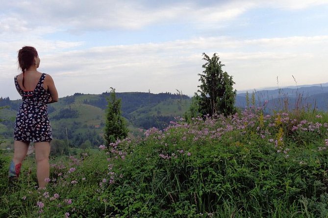 Private Multi-day Tour to Zlatibor Mountain and Sargan Eight Train