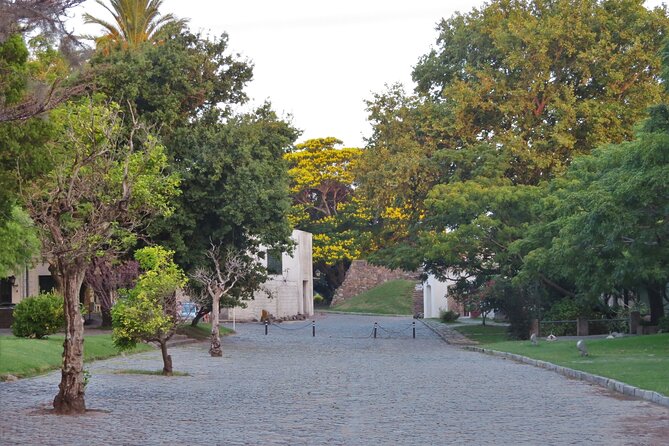 Private Old City Birdwatching - Tour Overview