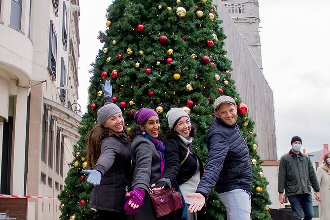 Private Professional Holiday Photoshoot in Cologne - Overview of the Experience