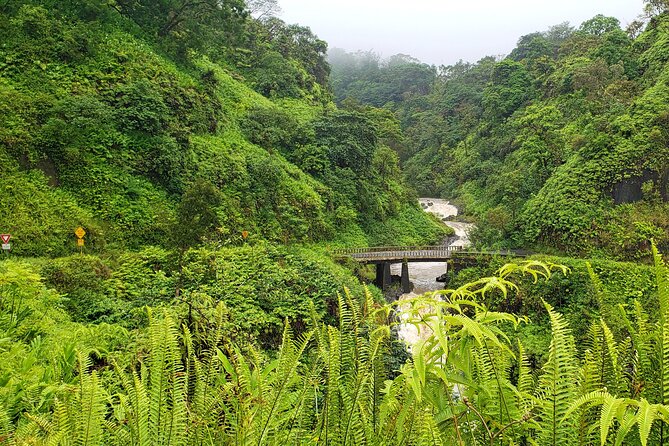 Private Road to Hana or Any Maui Destination in Luxury Mercedes Sprinter