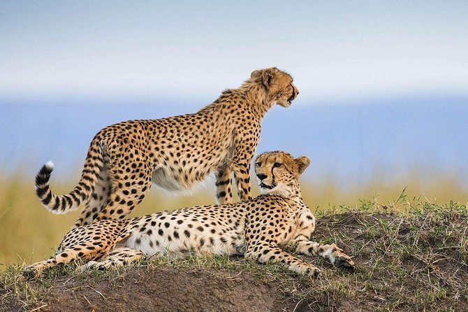 Private Safari for Couples | 5 Day