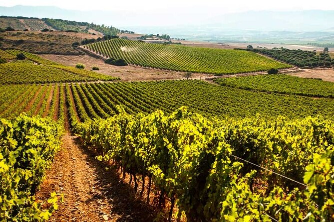 Private Sardinian Wine Experience