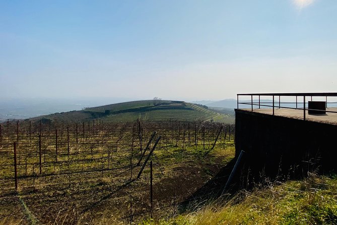 Private Scenic Transfer From Venice to Florence