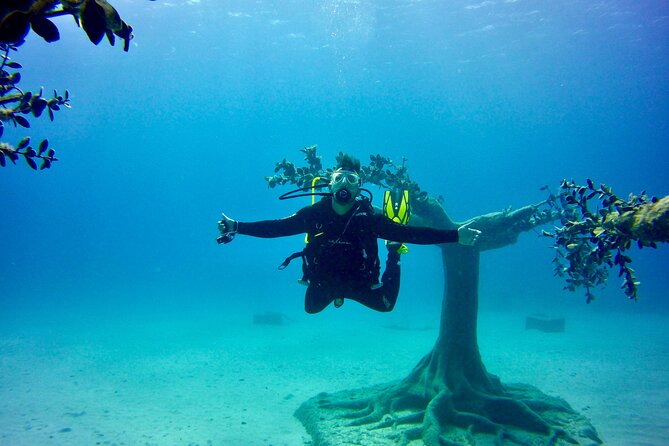 Private Scuba Dive / Try Dive at Musan Underwater Park - Overview of the Experience