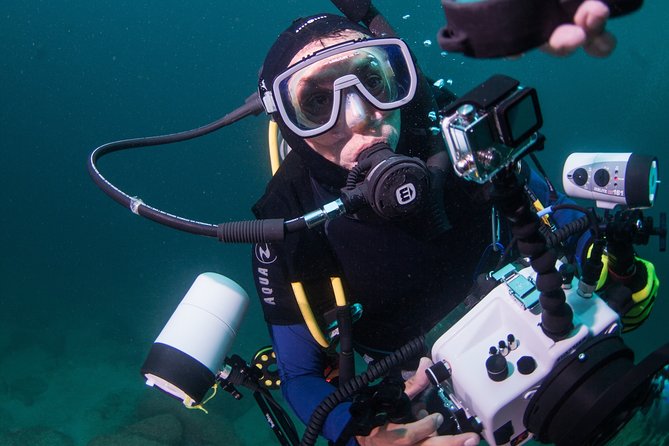 Private Scuba Diving Puerto Vallarta Undersea