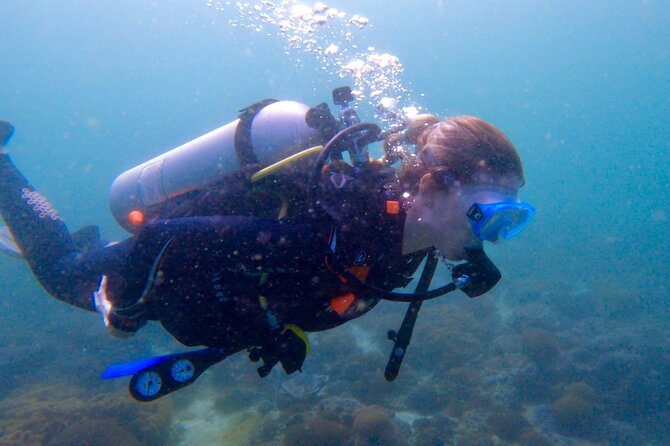Private Scuba Diving Trips Muscat