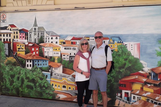 Private Shore Excursion From Valparaiso: Valparaiso & Casas Del Bosque Vineyard - Inclusions