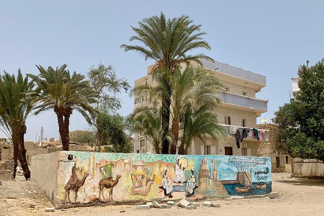 2 Best Tours In Port Ghalib