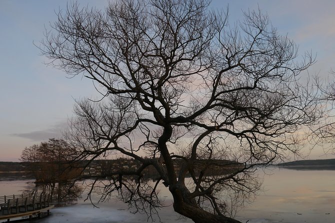 Private Sigtuna Tour From Stockholm – Oldest Town of Sweden