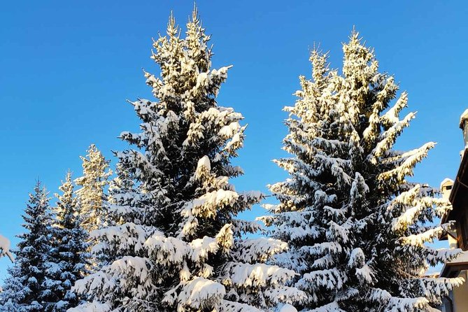 Private Snowshoeing Vitosha for 1 Day