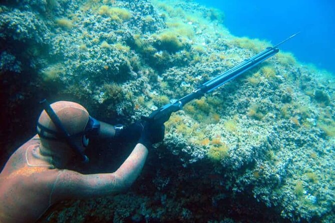Private Spearfishing Trip From Athens - Overview of the Spearfishing Trip