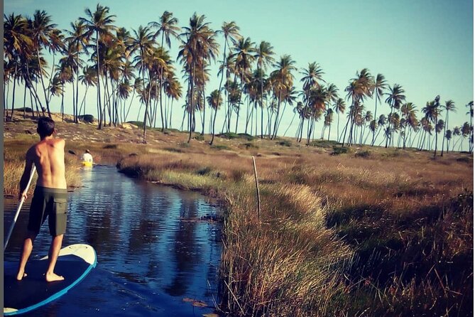 Private Stand Up Paddle and Kayak Tour on the Imbassaí River