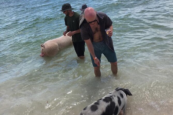 Private Swim With Pigs and Snorkeling in Paradise Tour - Pricing and Group Size