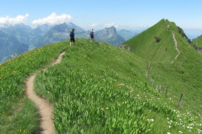 Private Swiss Alps Hike With Transport From Lucerne
