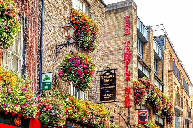 Private Tasting of Irish Beer and Dublin Old Town Tour