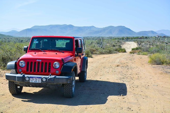 Private Todos Santos Jeep