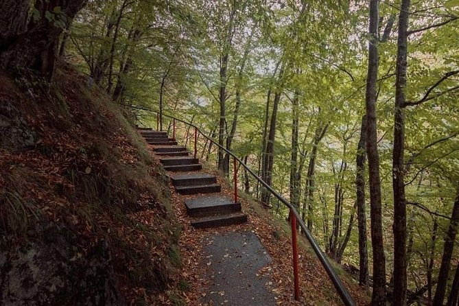 Private Tour From Bucharest to Transfagarasan Road Poenari Castle Vidraru Dam