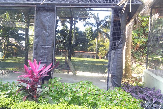 Private Tour From Ocho Rios To Konoko Falls And Garden and Shopping - Inclusions