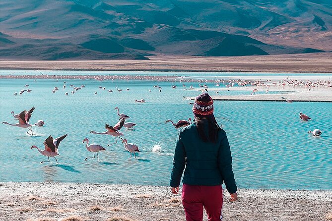 Private Tour From San Pedro De Atacama Chile to the Salar De Uyuni