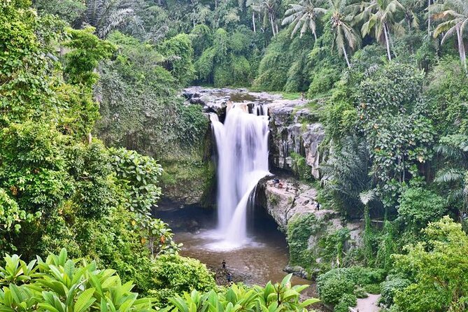Private Tour: Incredible 6 Days Bali Tour Package With Airport Transfer - Overview of the Tour Package
