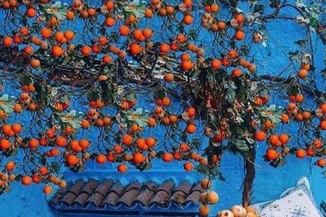 Private Tour of Chefchaouen From Tangier