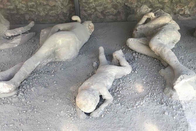 Private Tour of Pompeii Review