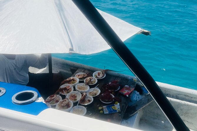 Private Tour of the Cartagena Islands by Sports Boat