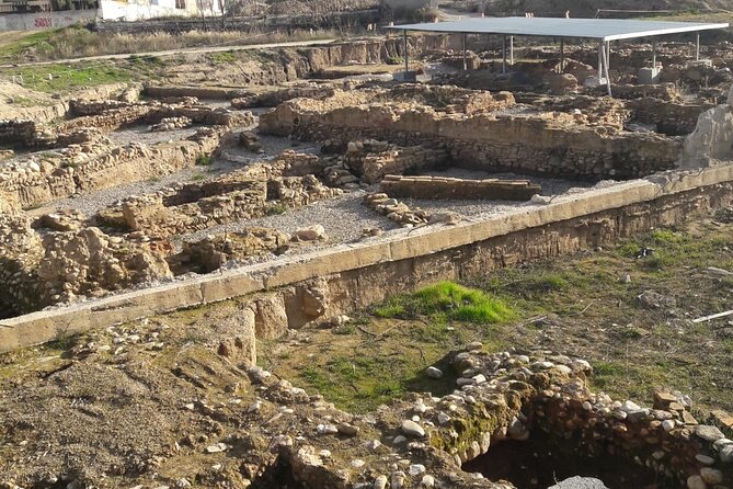 Private Tour Roman Granada (Florentia)