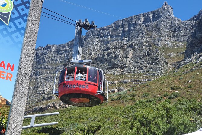 Private Tour: Table Mountain Boulders Beach Penguin Cape Point