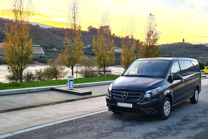 Private Tour Through the Douro Valley (Wineries Boat)