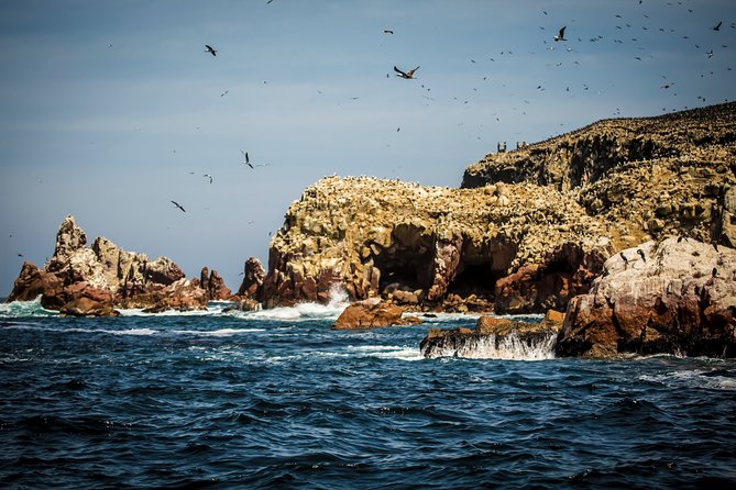 Private Tour to Paracas National Reserve