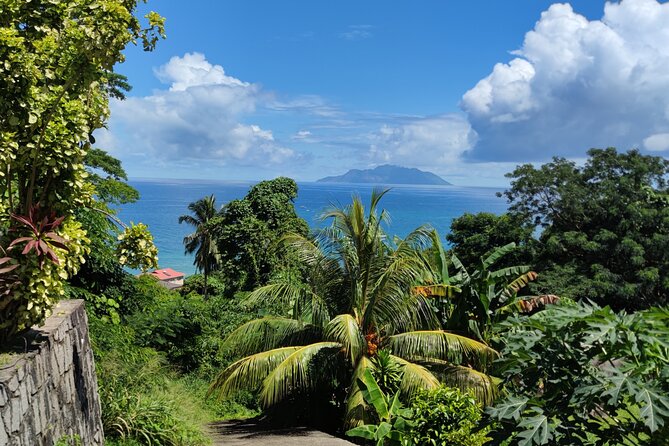 Private Transfer From Airport to Hotels, Port in Seychelles