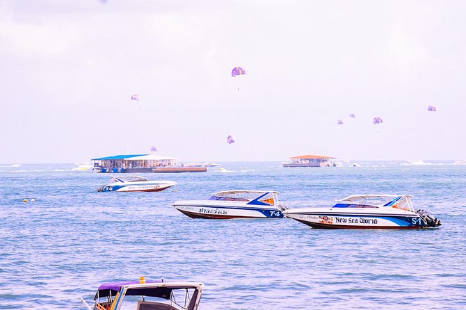 Private Transfer From Bangkok to Pattaya With 2h of Sightseeing - Pricing Details