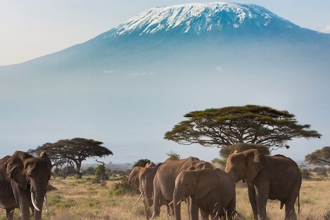 Private Transfer From Kigali Airport (Kgl) to Kigali