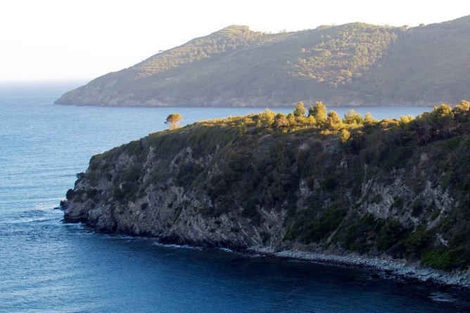 Private Transfer From Santandrea to Marina Di Campo (Eba) Airport