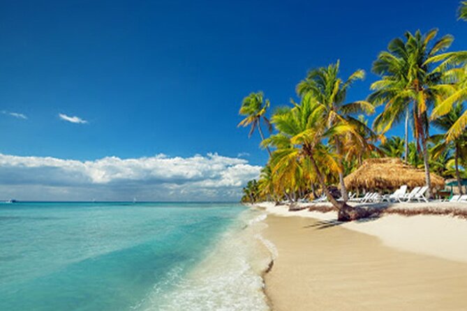 Private Transfer: Punta Cana Airport PUJ to Punta Cana or Bavaro in Van