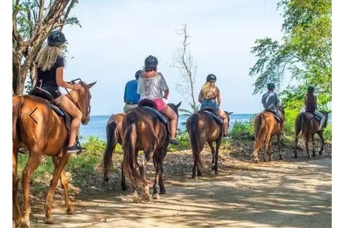 Private Transport and Airport Transfer In Montego Bay