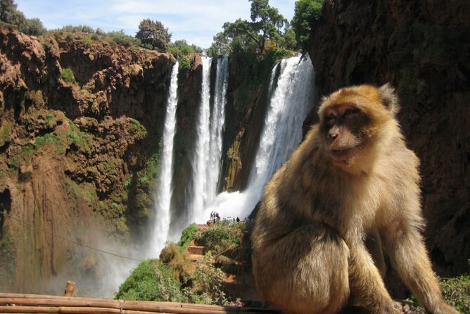 Private Trip Marrakech: Ouzoud Waterfalls Guided & Boat Ride - Highlights of the Quad Bike Adventure