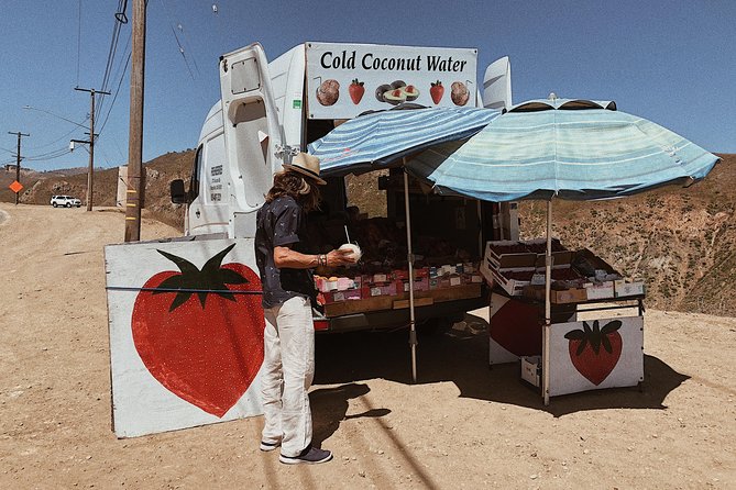 Private Vintage VW Hippie Tour to Malibu With Wine Tasting - Exploring Malibus Coastal Scenery