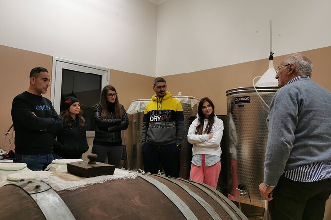 Private Visit to Acetaia With Tasting