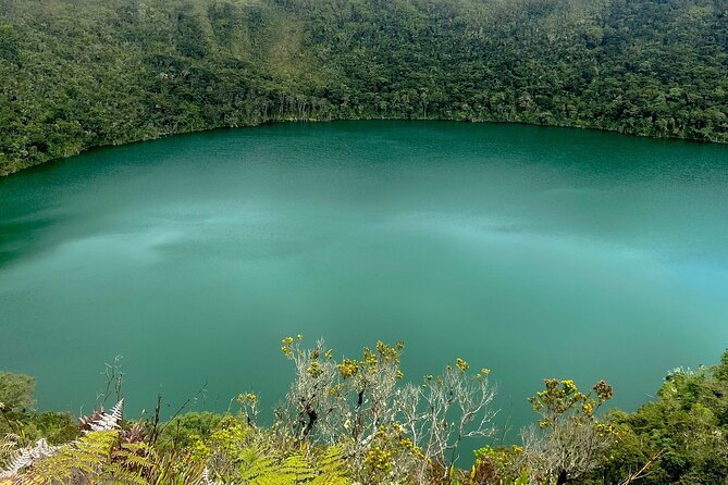 Private Visit to Casa Loca and Guatavita